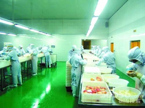 福建省冷链物流水平有待提高_物流搜索网