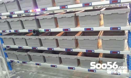 英腾电子标签播种墙系统